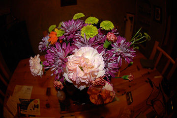 Fisheye Lens Example