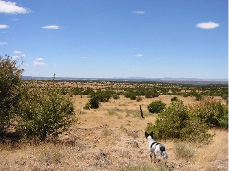Howard Mesa