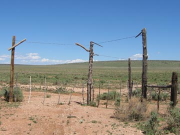Cowboy Drag Gate