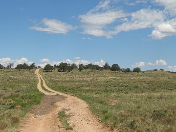 Two Track Road