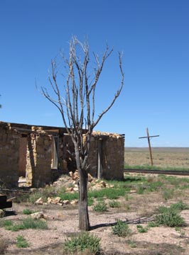 Willaha Station