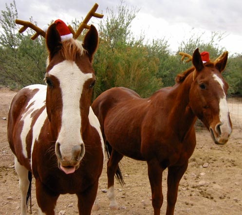 Christmas Horses