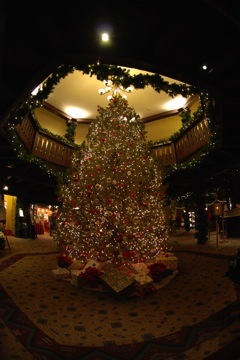 Christmas Tree