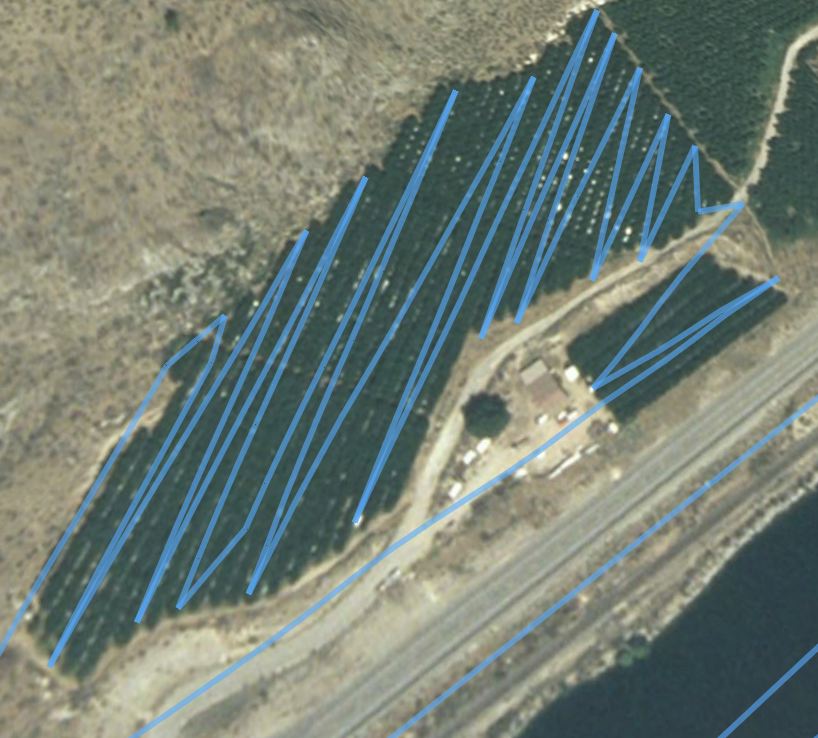 Cherry Drying 4.jpg Cherry Drying 4.jpg