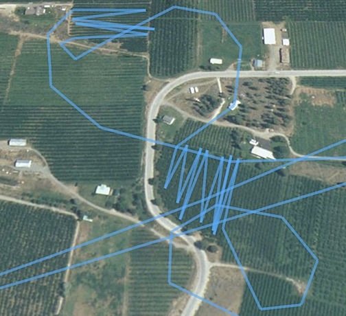 Cherry Drying Tracks Cherry Drying Tracks