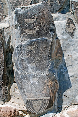 Ginkgo Petroglyphs