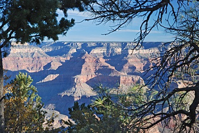 Tree-Framed Dawn at the Grand Canyon Tree-Framed Dawn at the Grand Canyon