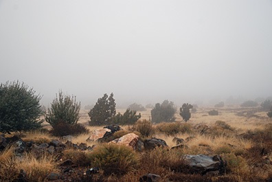 View with Fog