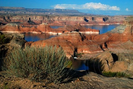 Lake Powell from Romana Mesa