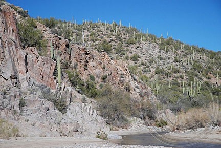 Desert Meets Stream