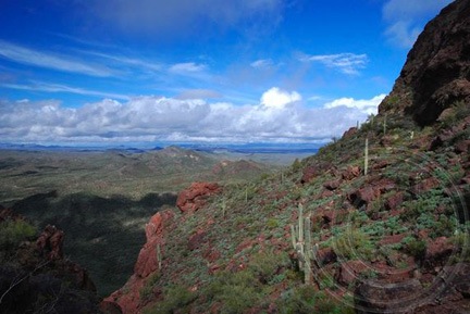 View from Vulture Peak Trail View from Vulture Peak Trail