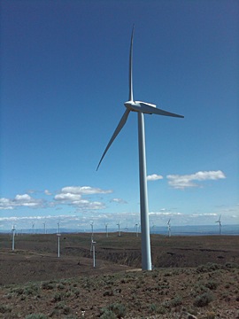 Wild Horse Wind Farm