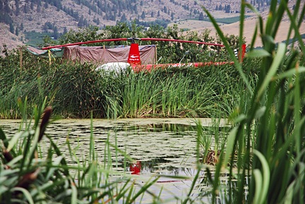 Parked in an Orchard Parked in an Orchard