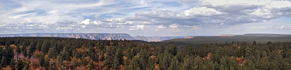 Panorama from Grand View Fire Tower