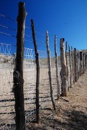 Fence