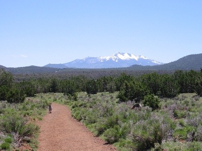 Jack at Red Mountain