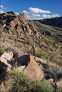 Off Constellation Road