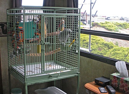 Alex's Cage in my RV