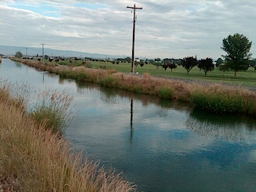 Canal and Golf Course