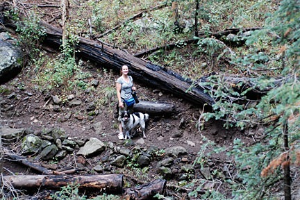 Jack in the Forest