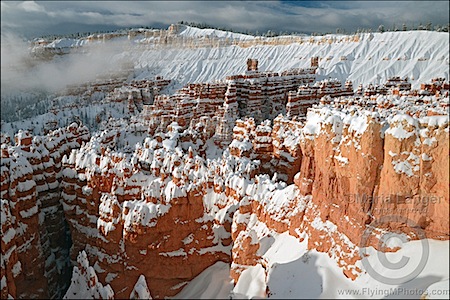 Bryce Canyon Dawn 2