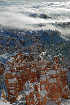 Bryce Dawn 1