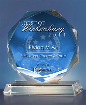 Fake Award