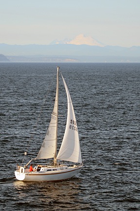 Sailboat on Puget Sound with Mount Baker in Background
