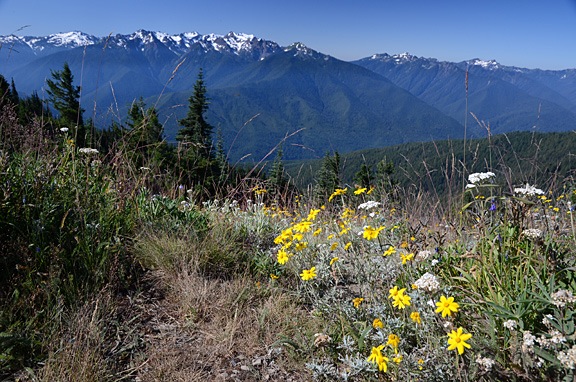 Snow-Capped Mountains