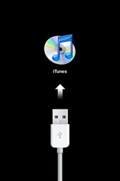 Connect to iTunes