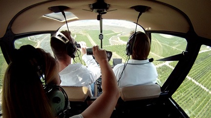 Cameras Spoil the View