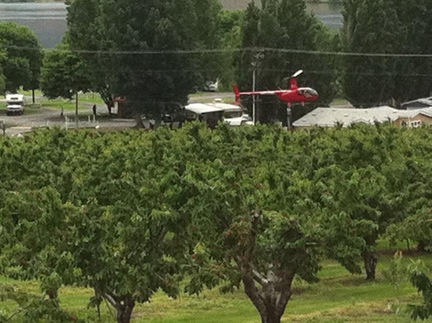 Cherry Drying Near Wires
