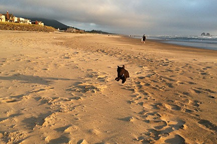Penny at the Beach