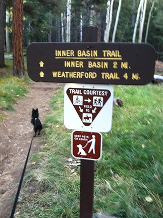 Inner Basin Trailhead