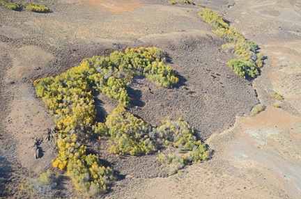 Fall Foliage from the Air