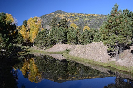 More Aspen Reflections