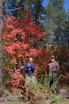 At West Fork Hike