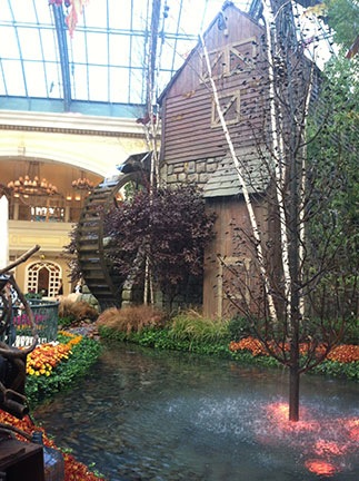 Inside the Conservatory
