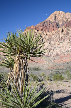 Pine Creek Trailhead View