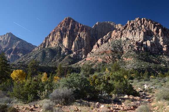 Autumn Colors Along Pine Creek