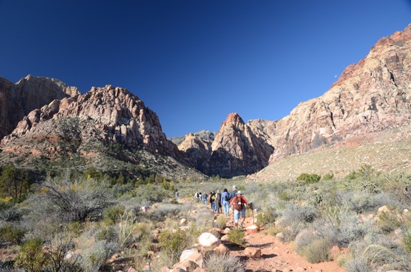 My Fellow Hikers