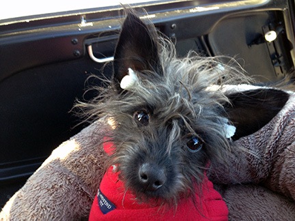 Penny wearing Earplugs