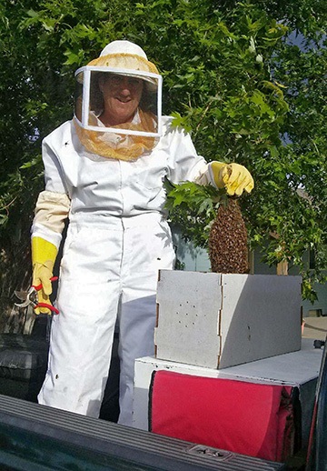 Capturing a Swarm
