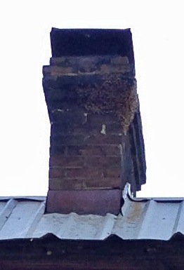Bees on a Chimney