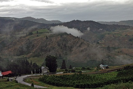 Orchard in the Clouds