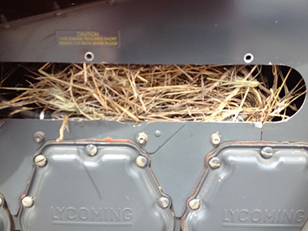 Nest on my Engine