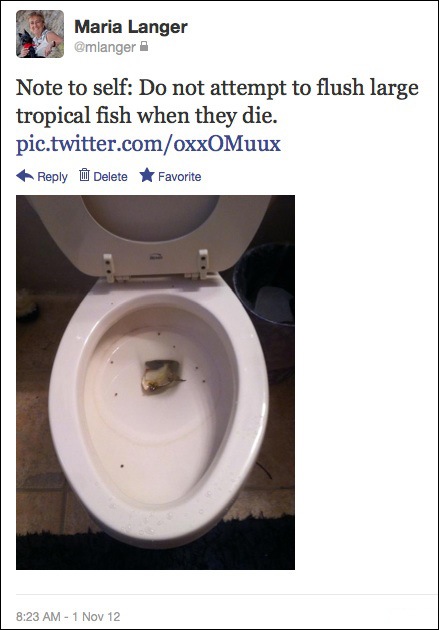 Flushing Fish