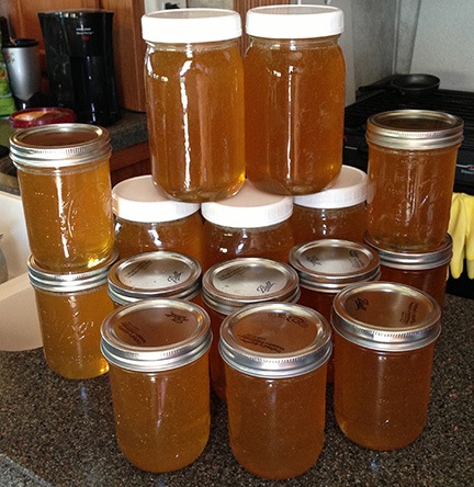 Honey Jars