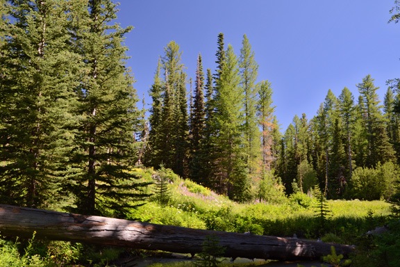 Near Clara Lake
