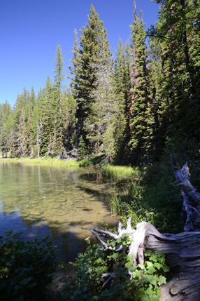 Clara Lake Shore
